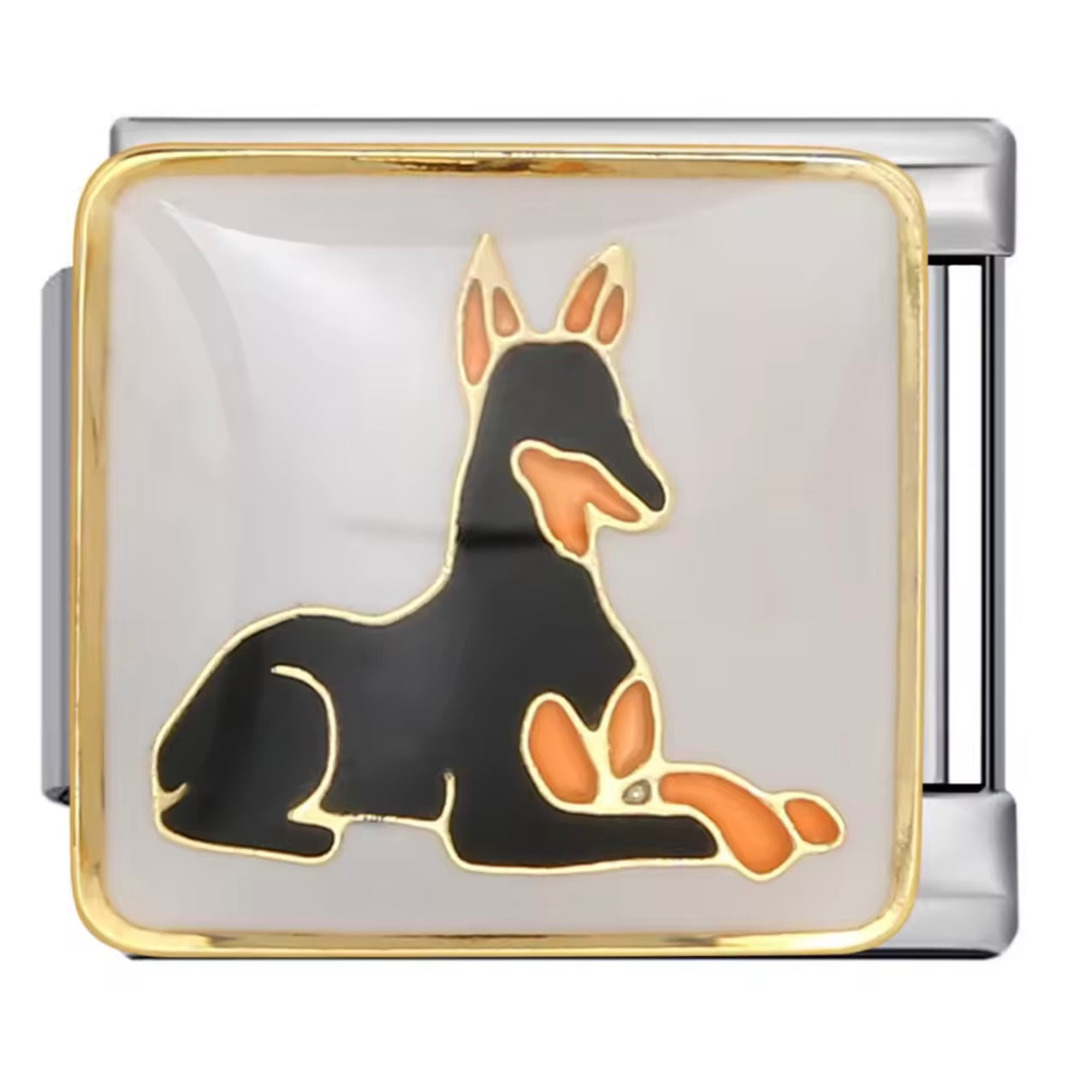 Doberman - Italian Charm